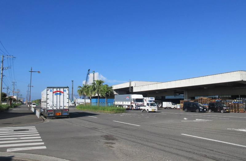 株式会社Fish Market ウッディ