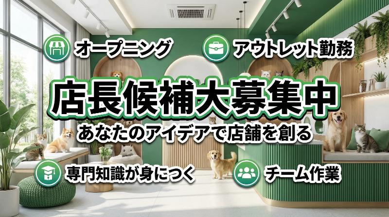 株式会社ゼフィールの求人・転職情報