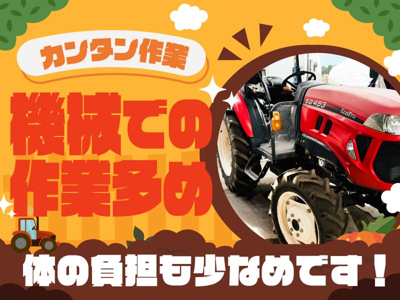 津久井農園のアルバイト・バイト求人情報-04