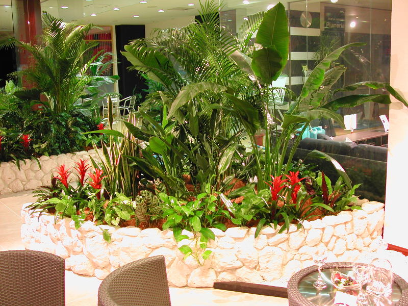 株式会社第一園芸の求人・転職情報