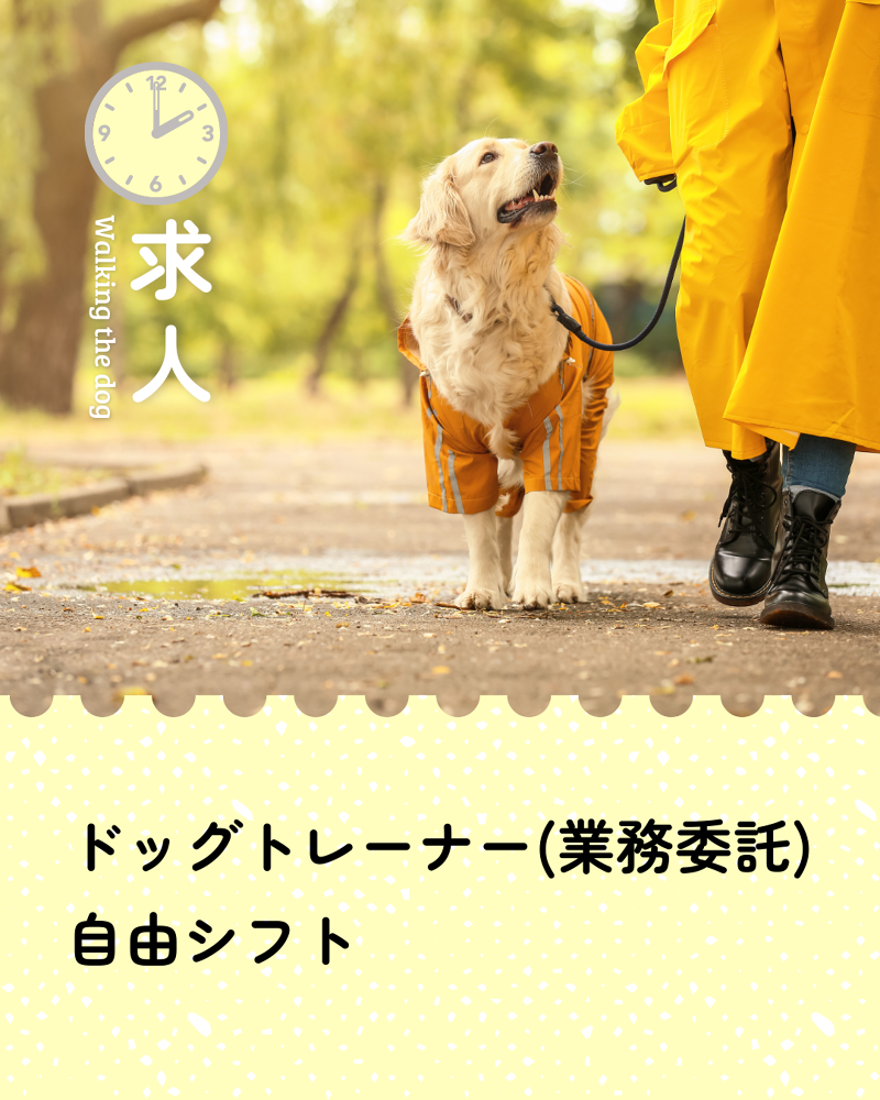 ピーチメディテック動物病院の求人・転職情報