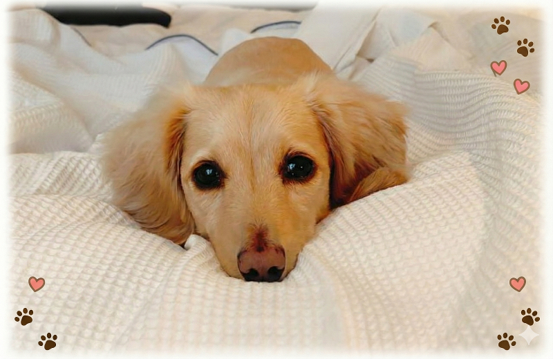 クウォール株式会社のアルバイト・バイト求人情報-02