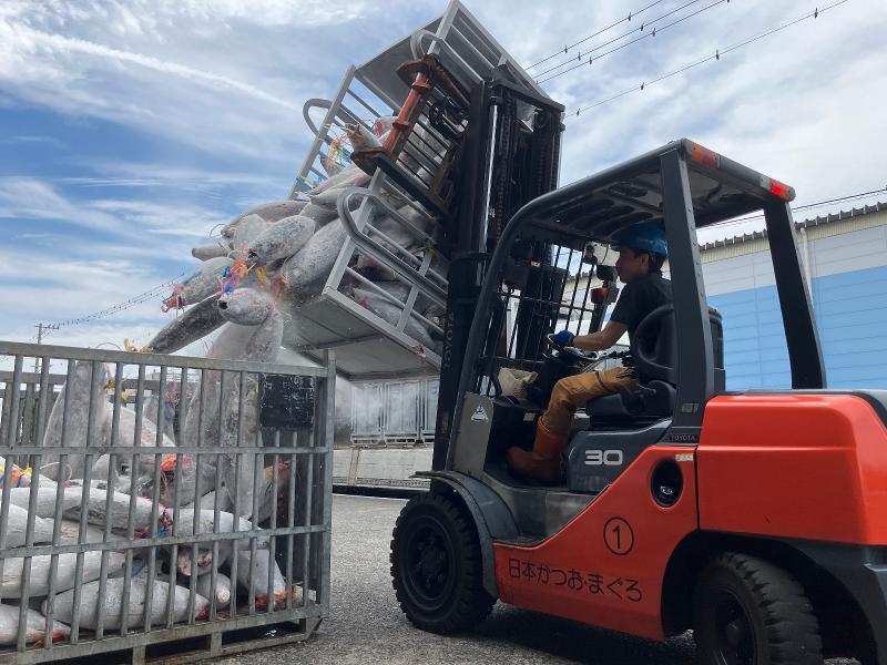 日本かつお・まぐろ漁業協同株式会社の求人情報