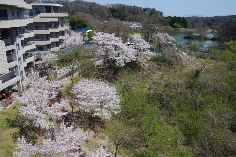 株式会社デザイン工房　ギャラリー杜の音のアルバイト・バイト求人情報-03