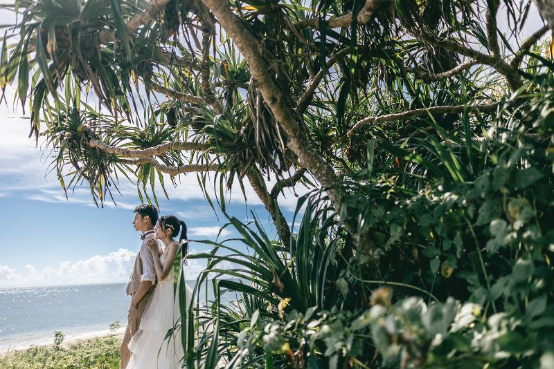 株式会社WEDDING AVE.-0002の求人・転職情報