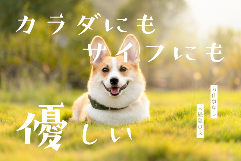 株式会社ヒューマンアイズ