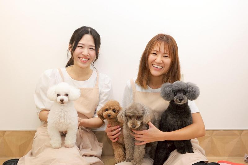 株式会社ハピリィの求人・転職情報