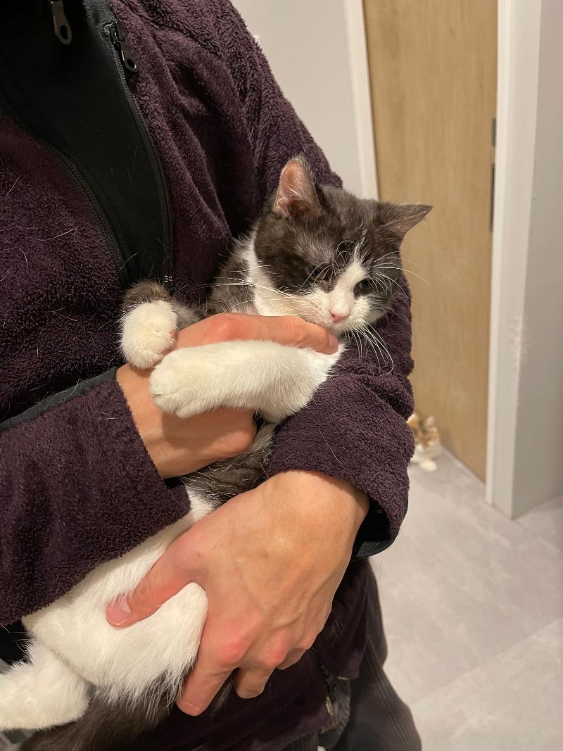 株式会社ANELLA Groupのアルバイト・バイト求人情報-04