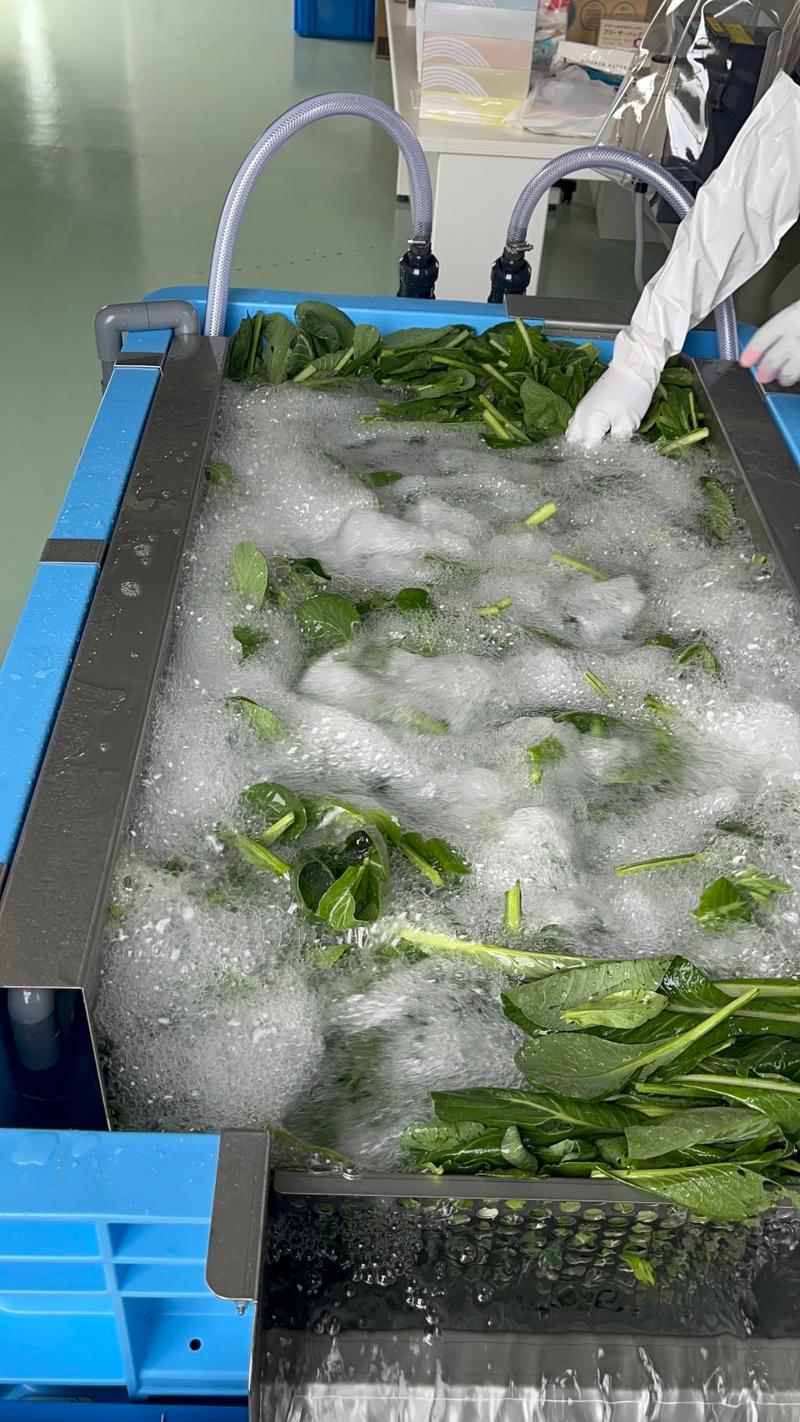 アントニーファーム株式会社のアルバイト・バイト求人情報-05