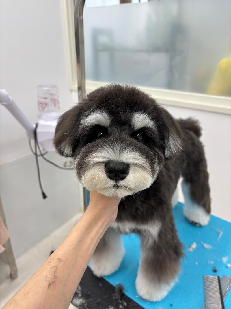 ドッグトータルケア Realm(レルム)のアルバイト・バイト求人情報-03