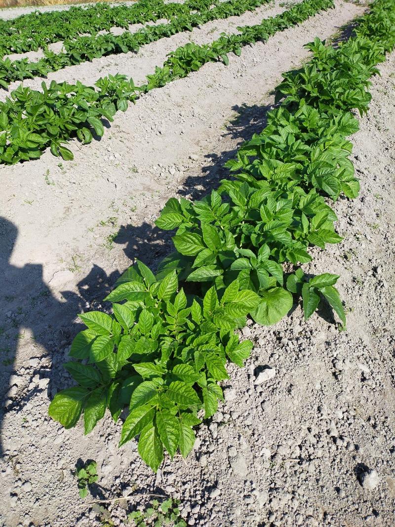 就労支援事業 Ai-self/合同会社ANNEIのアルバイト・バイト求人情報-05