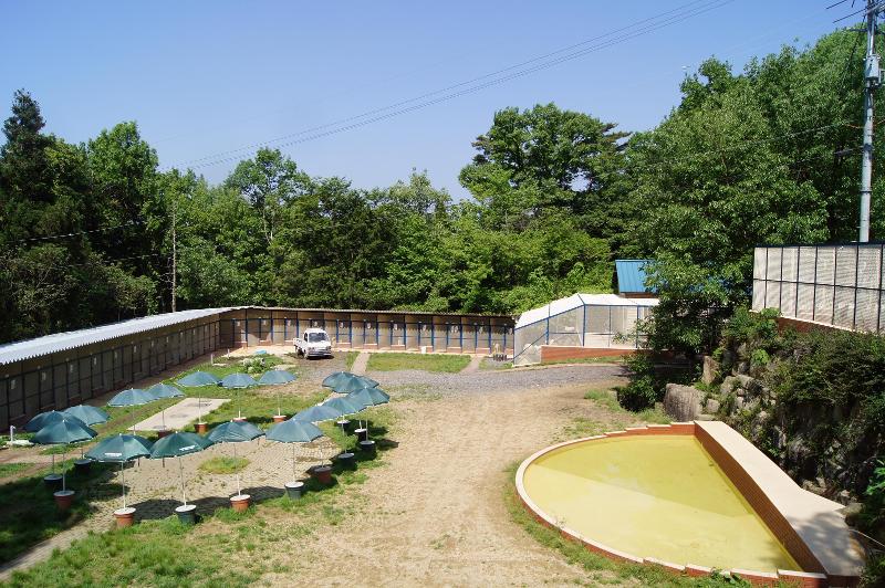 公益財団法人日本アニマルトラストのアルバイト・バイト求人情報-02