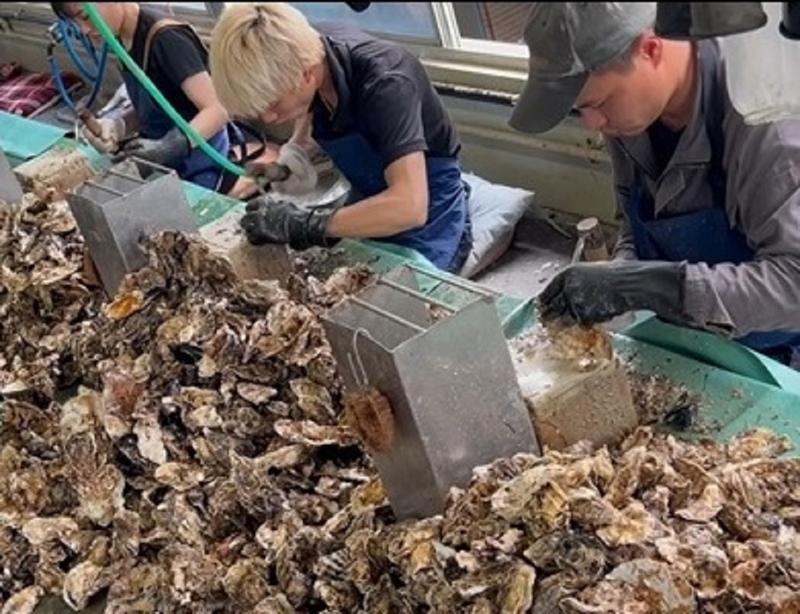 吉完水産のアルバイト・バイト求人情報-05