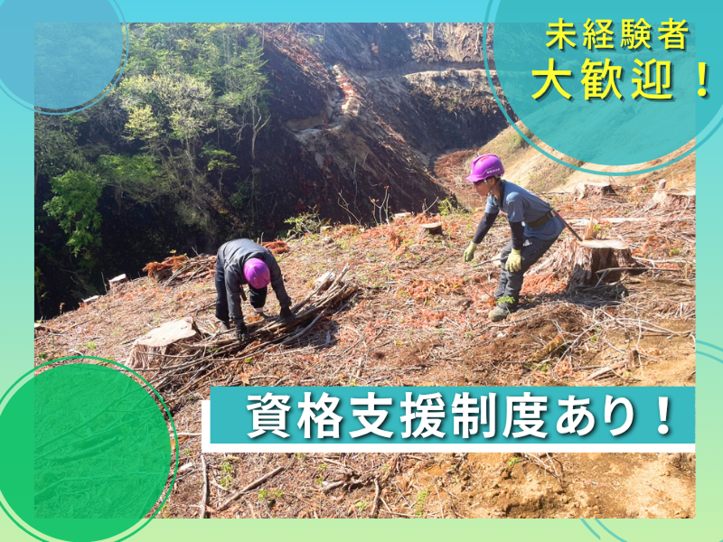 有限会社鈴木木材の求人・転職情報