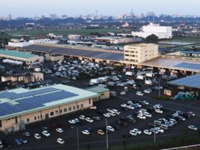 茨城県大同青果株式会社の求人・転職情報