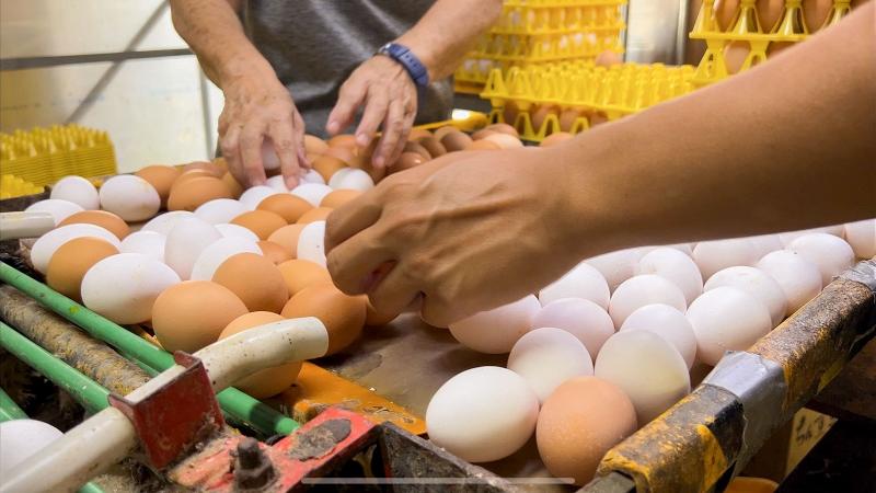 株式会社I&I OKINAWAくちぶえのアルバイト・バイト求人情報-03