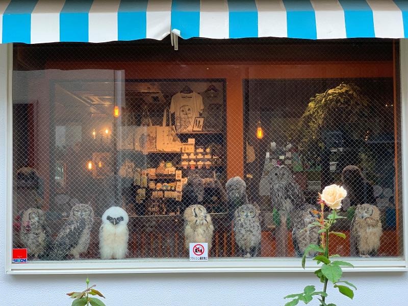 株式会社鳥カフェのアルバイト・バイト求人情報-05