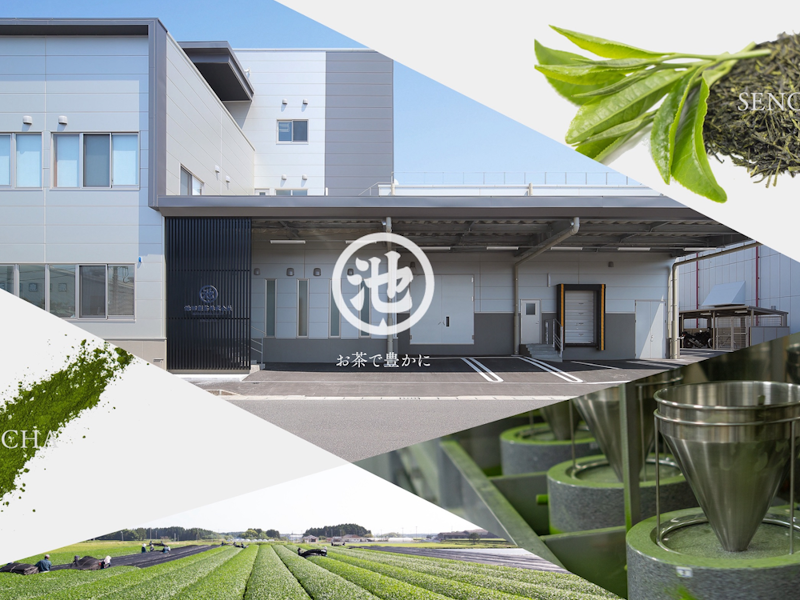 池田製茶株式会社の求人・転職情報