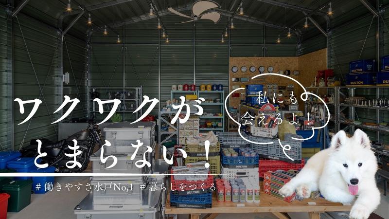 株式会社ハースの求人・転職情報