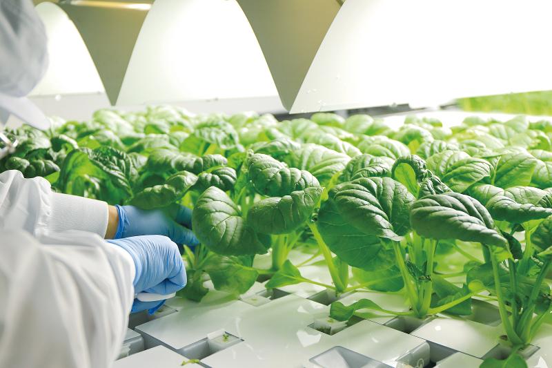 合同会社アグリードのアルバイト・バイト求人情報-04