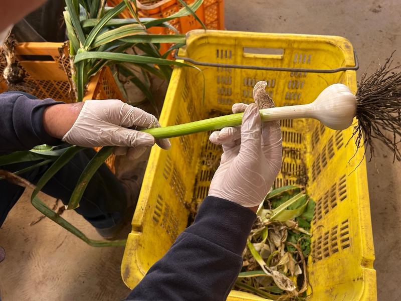 株式会社農協観光