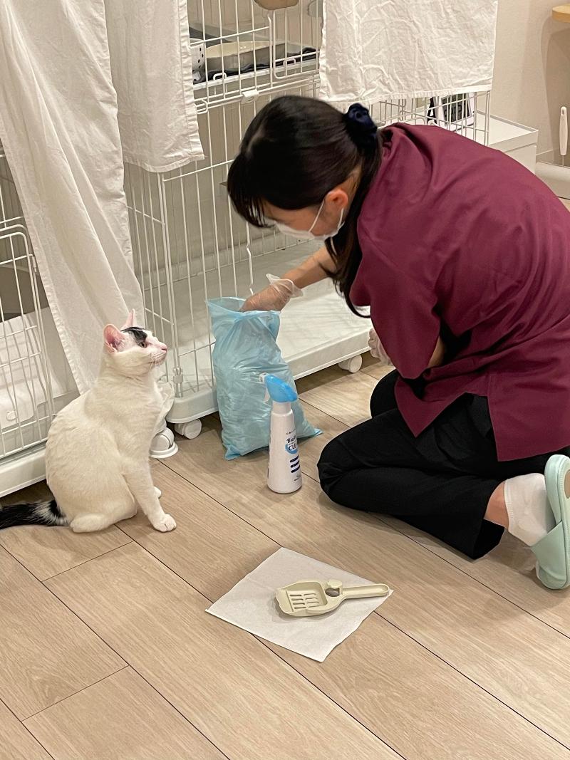 一般社団法人東京都人と動物のきずな福祉協会のアルバイト・バイト求人情報-04
