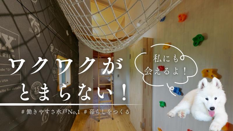 株式会社ハースの求人・転職情報