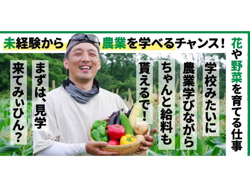 セイコウ 合同会社の求人・転職情報