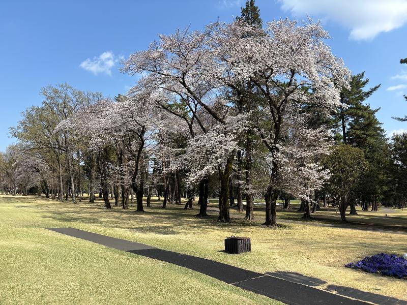 株式会社 ベストキャディーのアルバイト・バイト求人情報-05