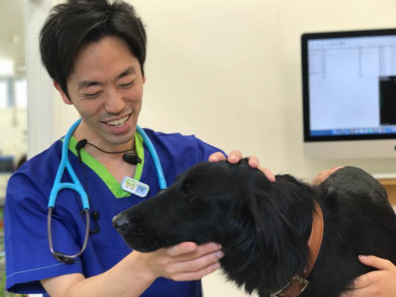 株式会社テリア-0009の求人・転職情報