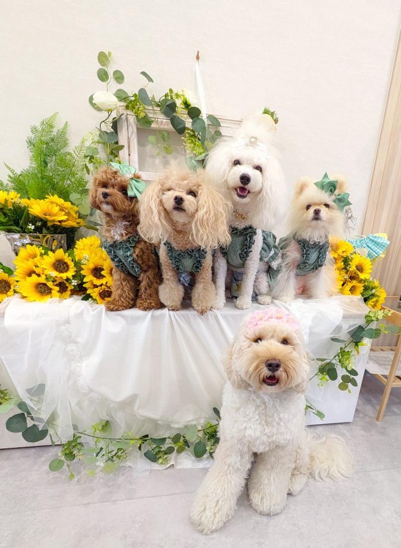 WANTISEのアルバイト・バイト求人情報-04