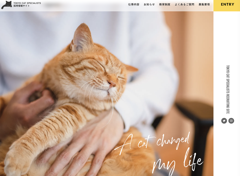 (株)Cat Cat Cat-0002の求人・転職情報