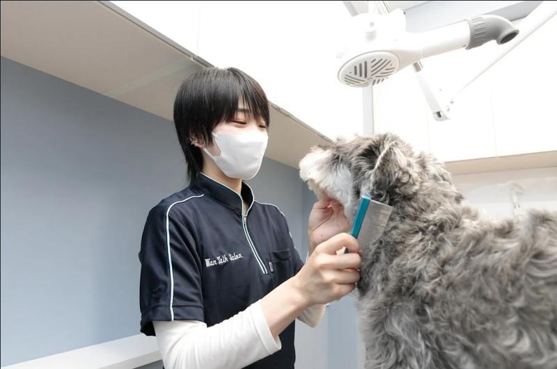 株式会社ＥＳＳＥの求人・転職情報