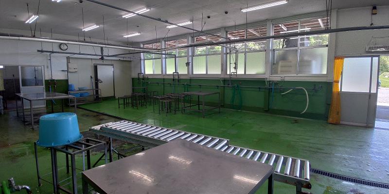 菊地水産合同会社のアルバイト・バイト求人情報-02