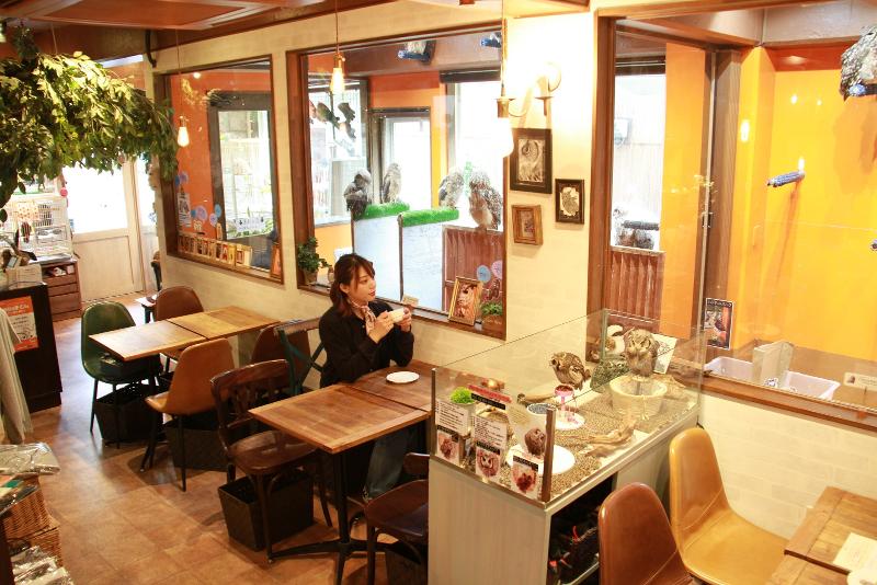 株式会社鳥カフェのアルバイト・バイト求人情報-02