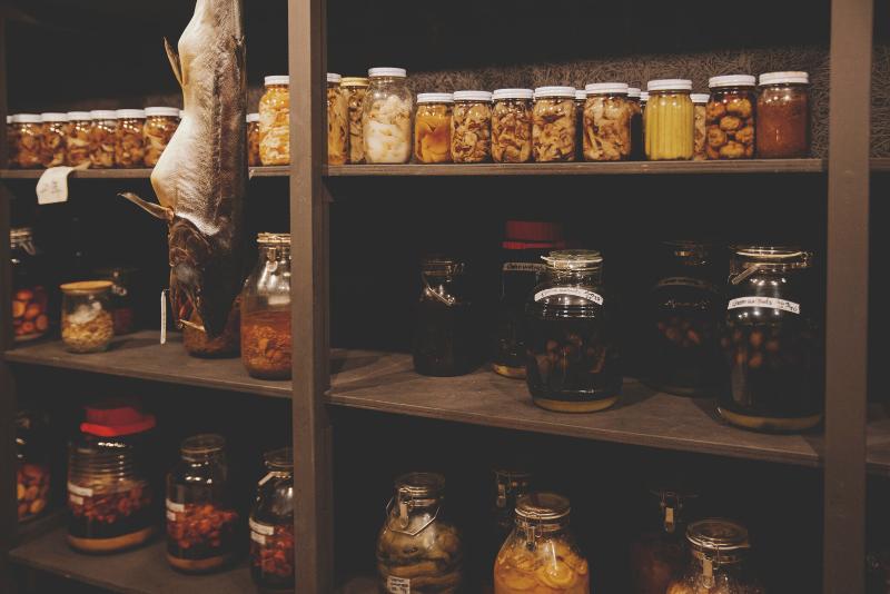 株式会社自遊人の求人・転職情報