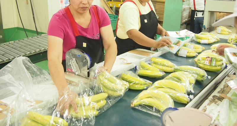 株式会社ファーマインド 川崎センターの求人情報