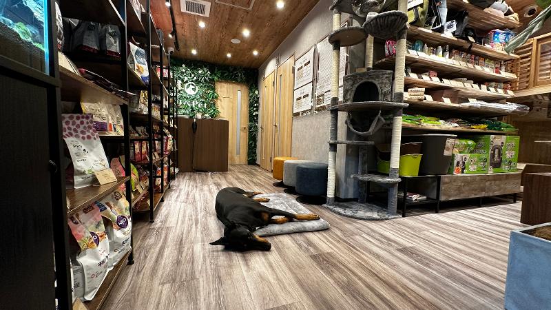 リベPetのアルバイト・バイト求人情報-02