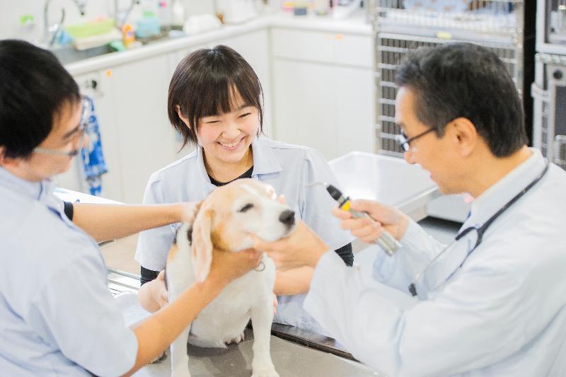 くみ動物病院のアルバイト・バイト求人情報-04