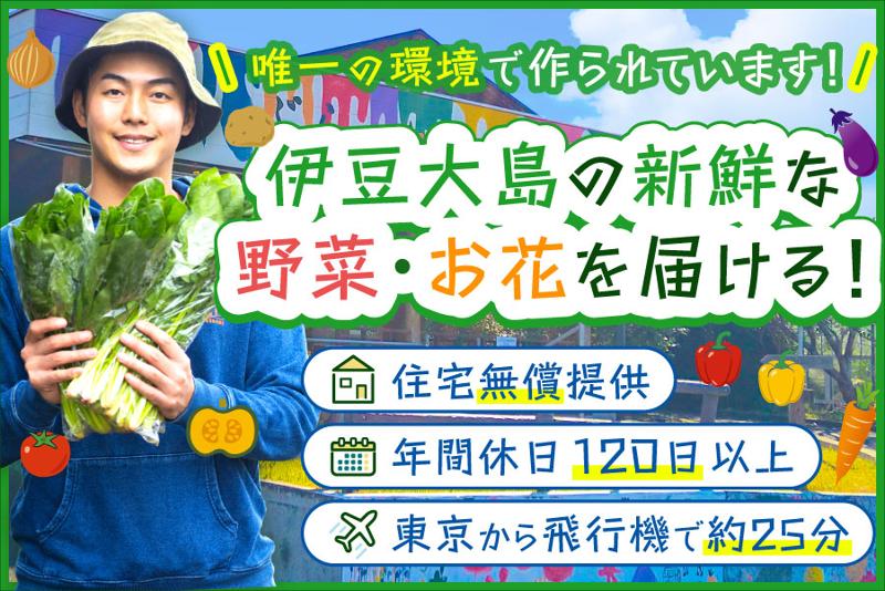 大島町の求人・転職情報