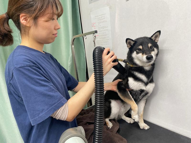 有限会社ディーエルピーのアルバイト・バイト求人情報-03