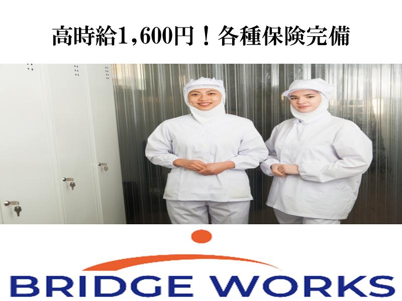 BRIDGE WORKS株式会社の派遣求人情報