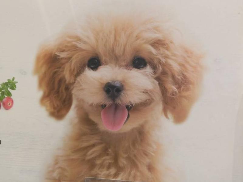 有限会社オオタキのアルバイト・バイト求人情報-03