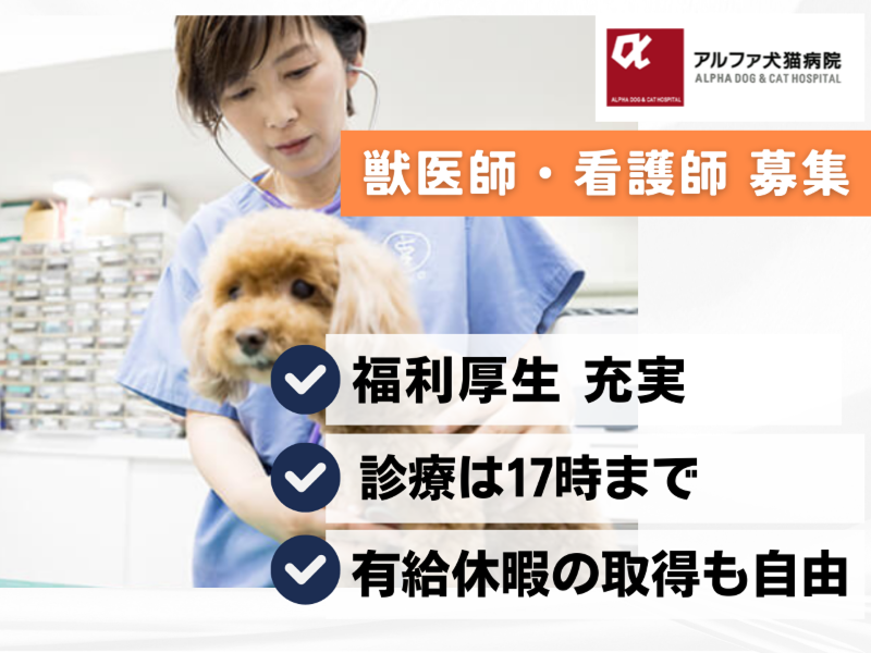 株式会社フェイス１の求人・転職情報