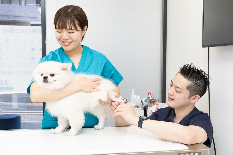 株式会社PECO-0004の求人・転職情報