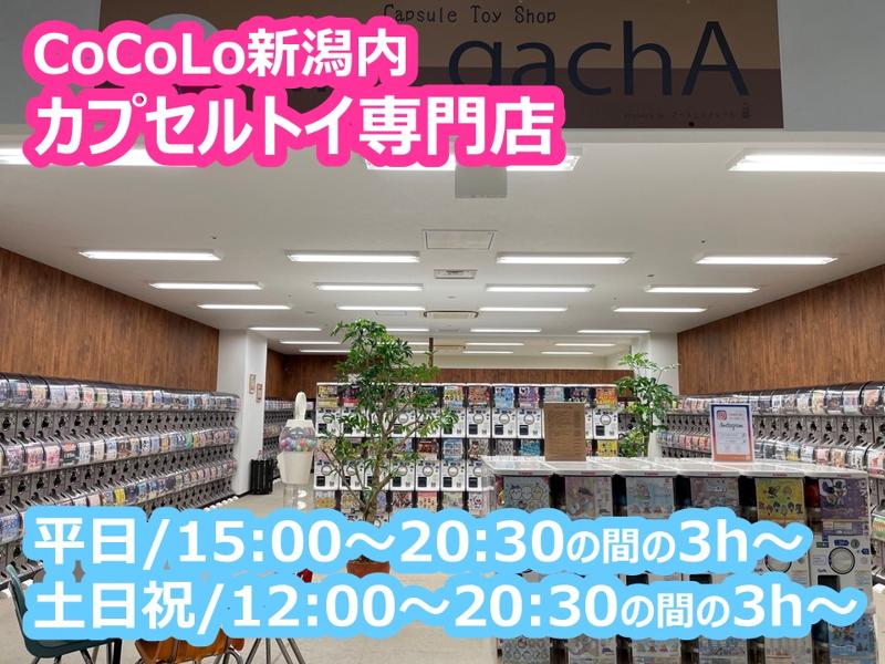 カプセルトイ専門店「nii-gachA station」のアルバイト・バイト求人情報-02