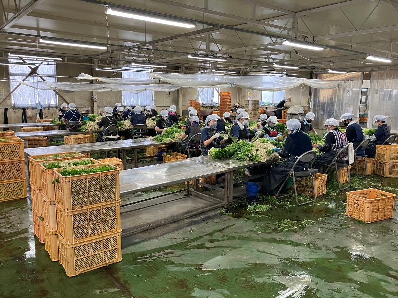 株式会社 菜果野アグリの求人情報