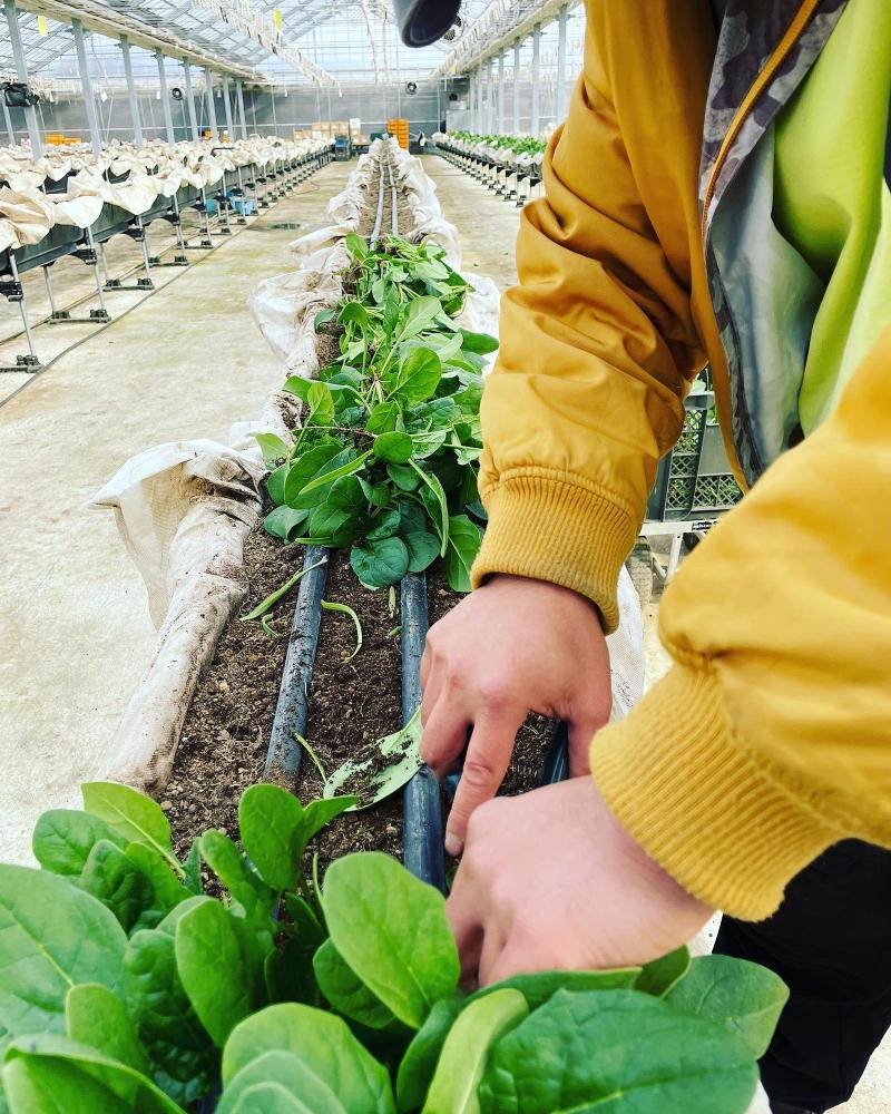 株式会社ワンライフのアルバイト・バイト求人情報-04