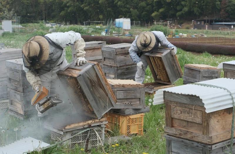 (有)健康自然工房の求人・転職情報