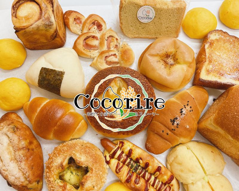 株式会社エクスモアの求人・転職情報